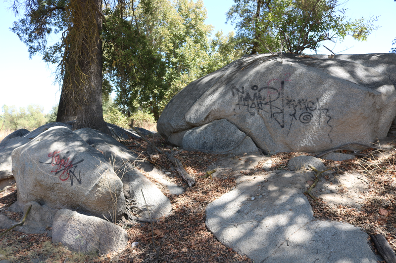 Illustration for article titled Lost Lake Park Photodump.
